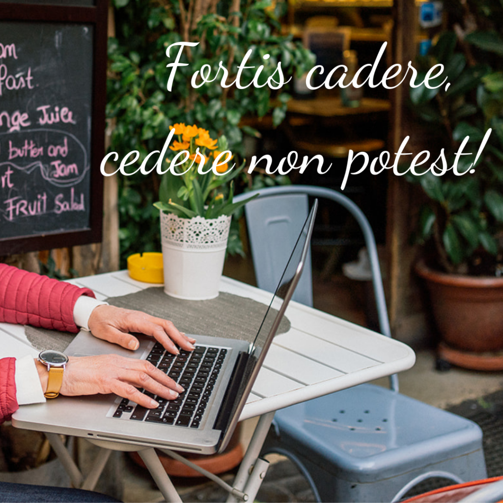 Dora Rossetti's hands on a laptop working on Technical translations and Language consultancy